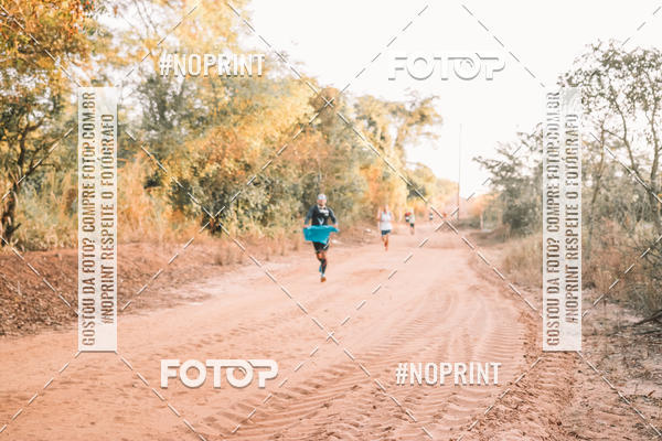 Buy your photos of the eventUltramaratona Trail Run CS 2019 on Fotop