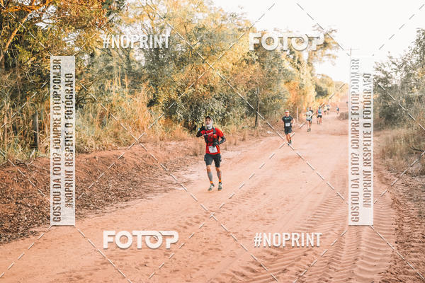 Buy your photos of the eventUltramaratona Trail Run CS 2019 on Fotop