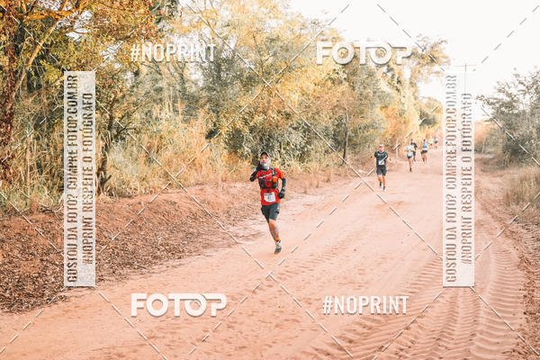 Buy your photos of the eventUltramaratona Trail Run CS 2019 on Fotop
