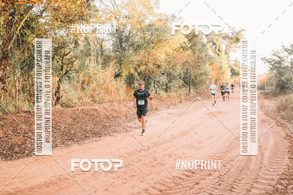 Buy your photos of the eventUltramaratona Trail Run CS 2019 on Fotop