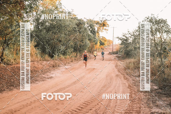 Buy your photos of the eventUltramaratona Trail Run CS 2019 on Fotop