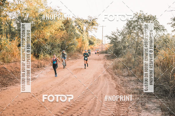 Buy your photos of the eventUltramaratona Trail Run CS 2019 on Fotop