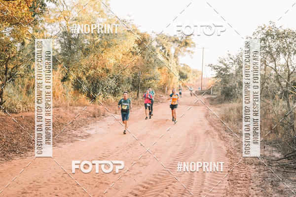 Buy your photos of the eventUltramaratona Trail Run CS 2019 on Fotop