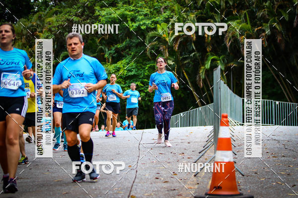 Compra tus fotos del eventoFORD RUN 2018 3k e 6k En Fotop