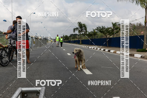 Buy your photos of the eventCorrida Viva a Vida on Fotop