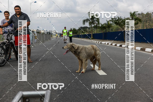 Buy your photos of the eventCorrida Viva a Vida on Fotop