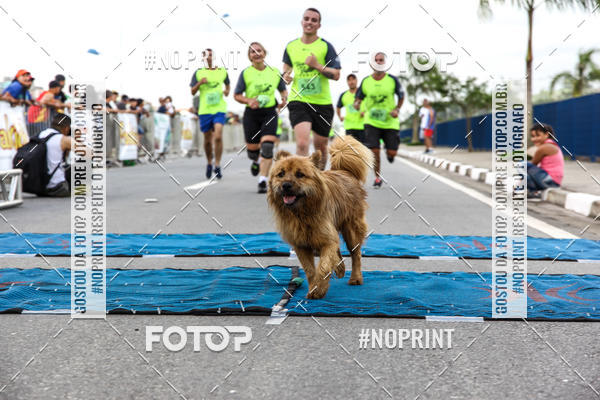 Buy your photos of the eventCorrida Viva a Vida on Fotop