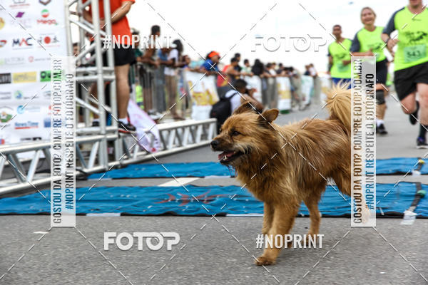 Buy your photos of the eventCorrida Viva a Vida on Fotop