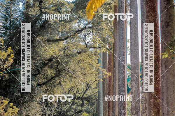 Compre suas fotos do eventoTreino Lets Run Girls no Fotop