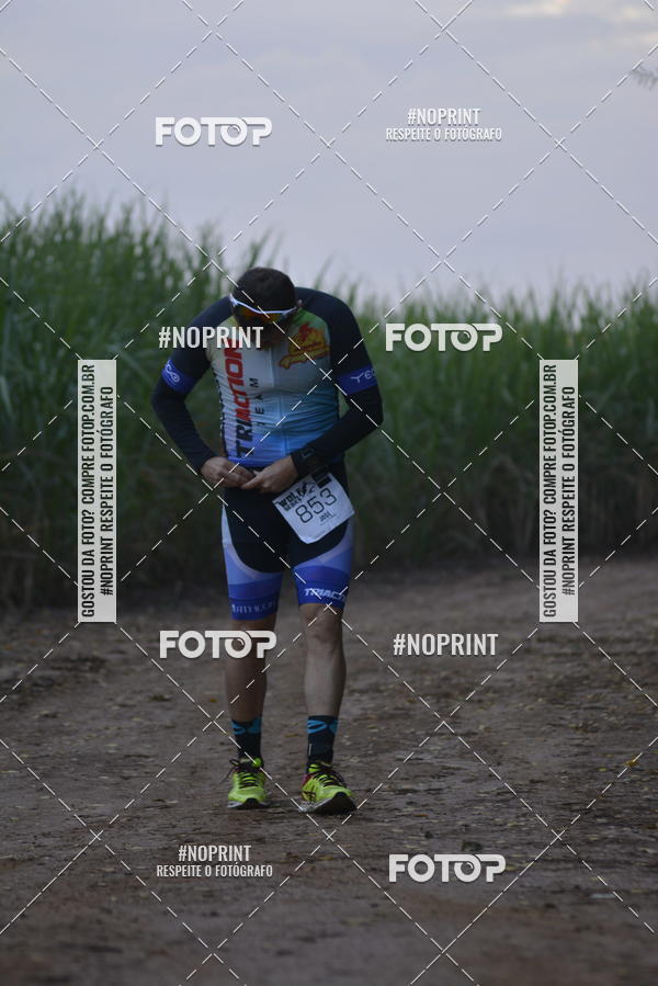 Buy your photos of the eventWolf Series -  Nova Odessa on Fotop