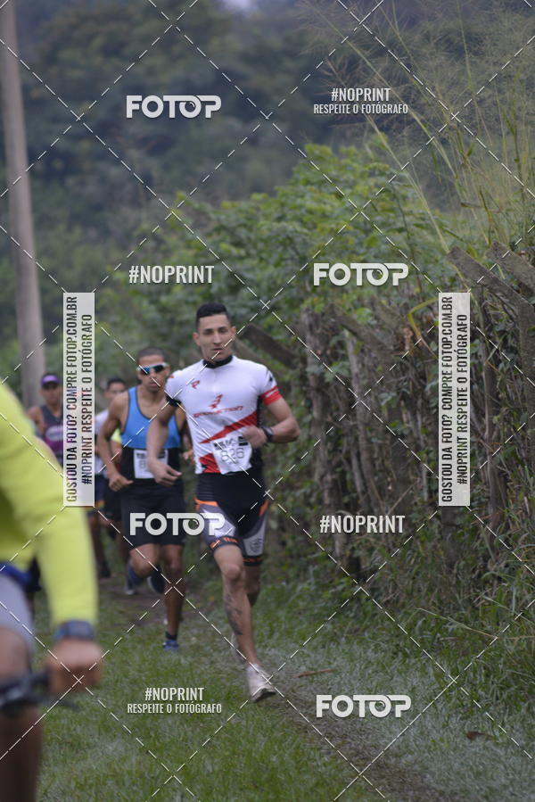 Buy your photos of the eventWolf Series -  Nova Odessa on Fotop