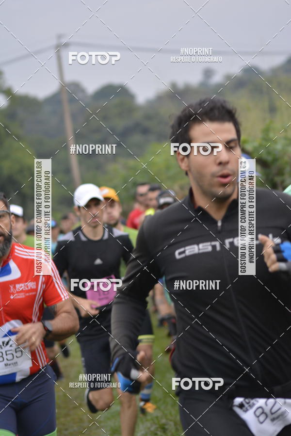 Buy your photos of the eventWolf Series -  Nova Odessa on Fotop