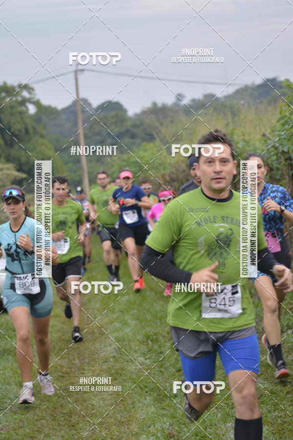 Buy your photos of the eventWolf Series -  Nova Odessa on Fotop