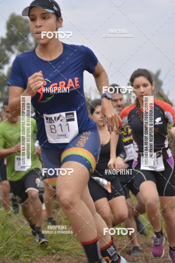 Buy your photos of the eventWolf Series -  Nova Odessa on Fotop