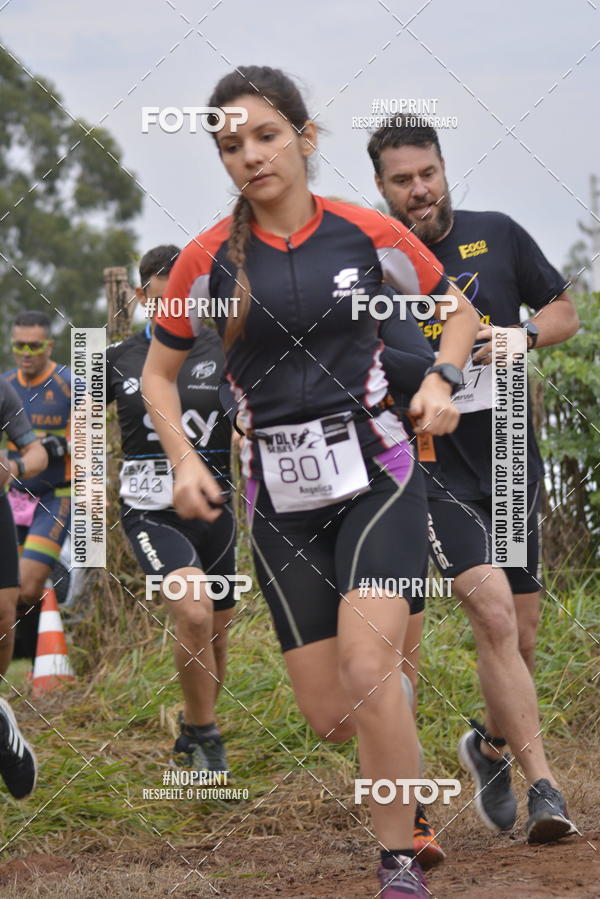 Buy your photos of the eventWolf Series -  Nova Odessa on Fotop