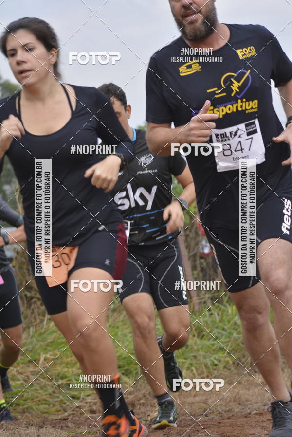 Buy your photos of the eventWolf Series -  Nova Odessa on Fotop