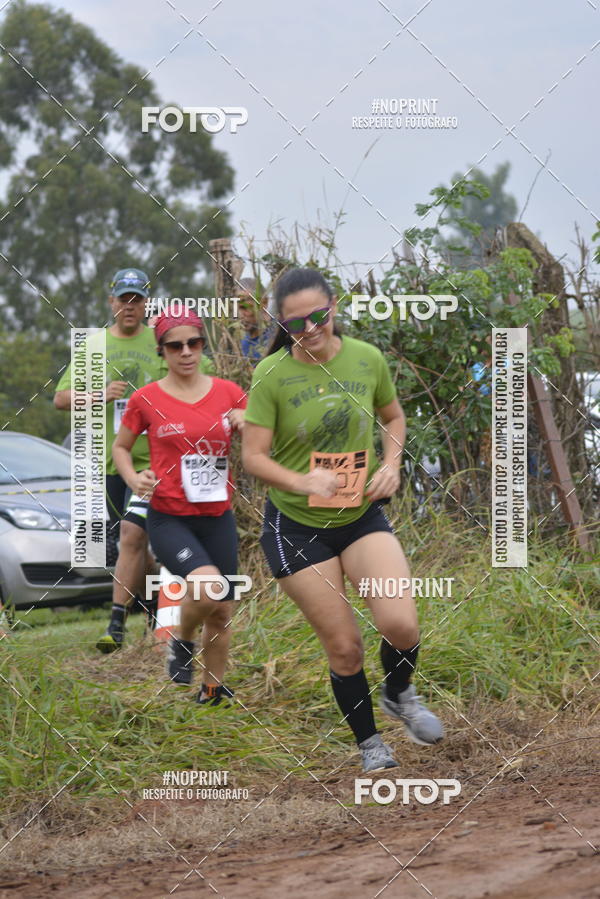 Buy your photos of the eventWolf Series -  Nova Odessa on Fotop