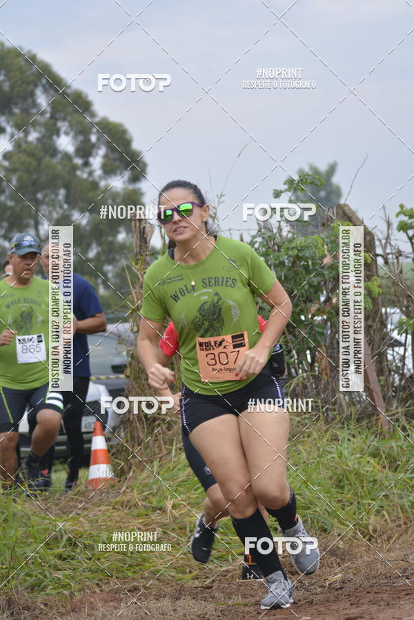 Buy your photos of the eventWolf Series -  Nova Odessa on Fotop