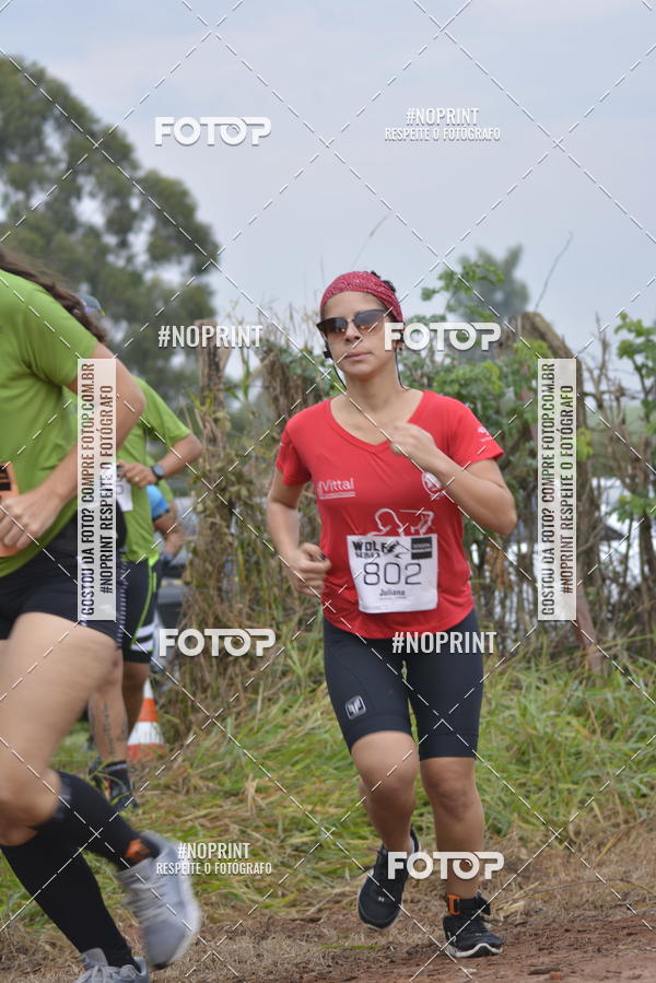 Buy your photos of the eventWolf Series -  Nova Odessa on Fotop