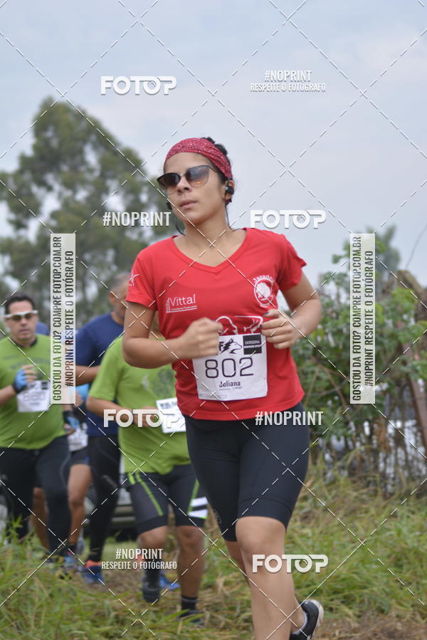 Buy your photos of the eventWolf Series -  Nova Odessa on Fotop