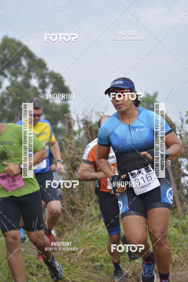 Buy your photos of the eventWolf Series -  Nova Odessa on Fotop