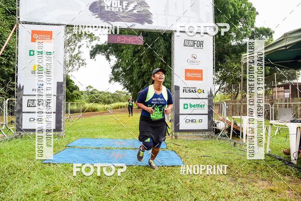 Buy your photos of the eventWolf Series -  Nova Odessa on Fotop