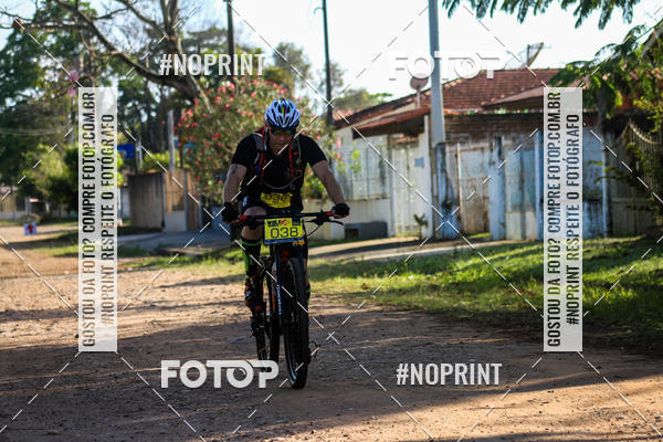 Buy your photos of the eventWolf Series - Botucatu on Fotop