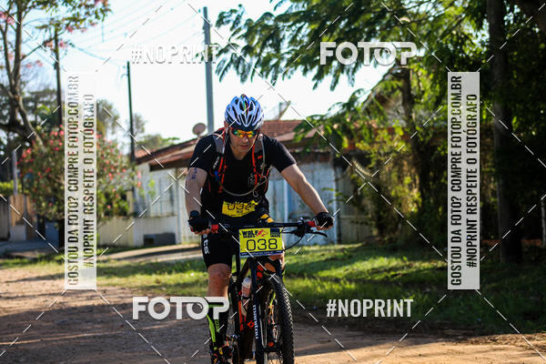 Buy your photos of the eventWolf Series - Botucatu on Fotop