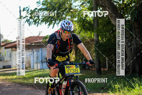 Buy your photos of the eventWolf Series - Botucatu on Fotop