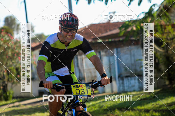 Buy your photos of the eventWolf Series - Botucatu on Fotop