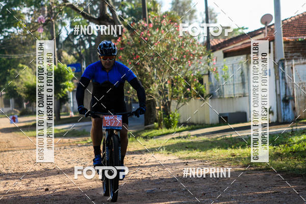 Buy your photos of the eventWolf Series - Botucatu on Fotop