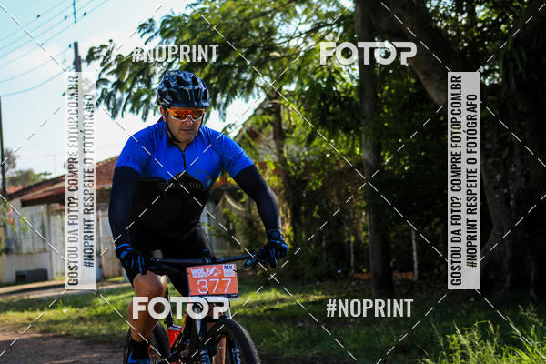 Buy your photos of the eventWolf Series - Botucatu on Fotop