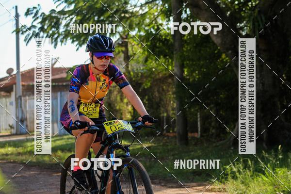 Buy your photos of the eventWolf Series - Botucatu on Fotop