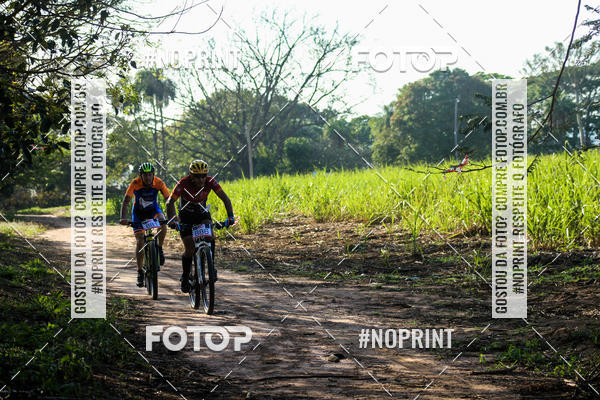 Buy your photos of the eventWolf Series - Botucatu on Fotop