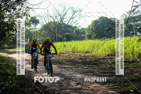 Buy your photos of the eventWolf Series - Botucatu on Fotop