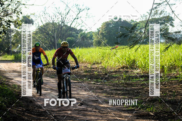 Buy your photos of the eventWolf Series - Botucatu on Fotop