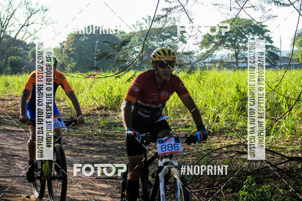 Buy your photos of the eventWolf Series - Botucatu on Fotop