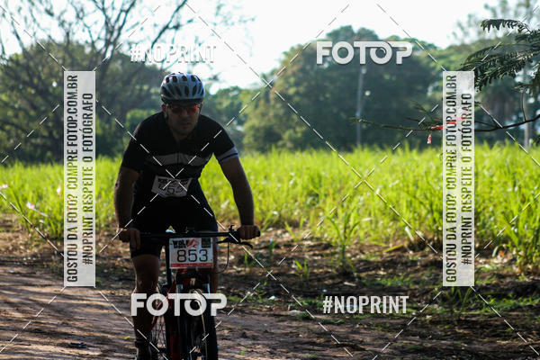 Buy your photos of the eventWolf Series - Botucatu on Fotop