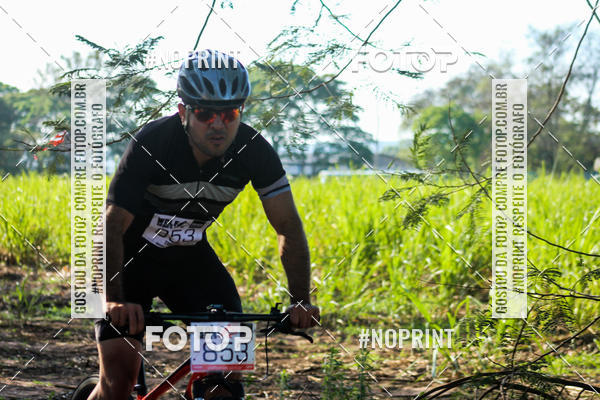 Buy your photos of the eventWolf Series - Botucatu on Fotop