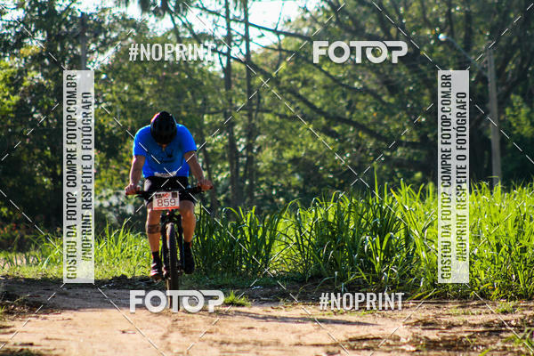 Buy your photos of the eventWolf Series - Botucatu on Fotop