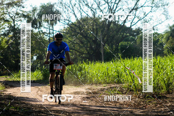 Buy your photos of the eventWolf Series - Botucatu on Fotop