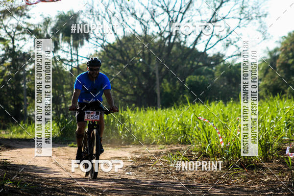 Buy your photos of the eventWolf Series - Botucatu on Fotop