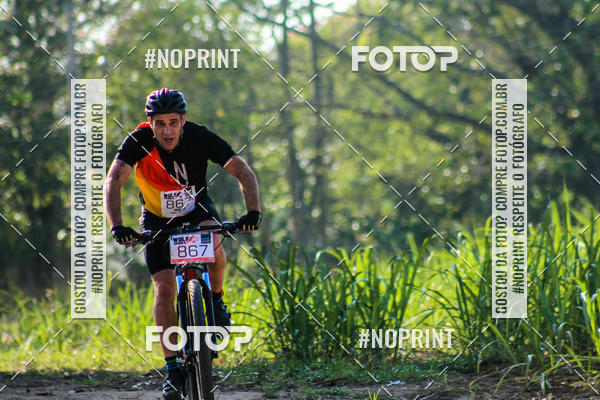 Buy your photos of the eventWolf Series - Botucatu on Fotop