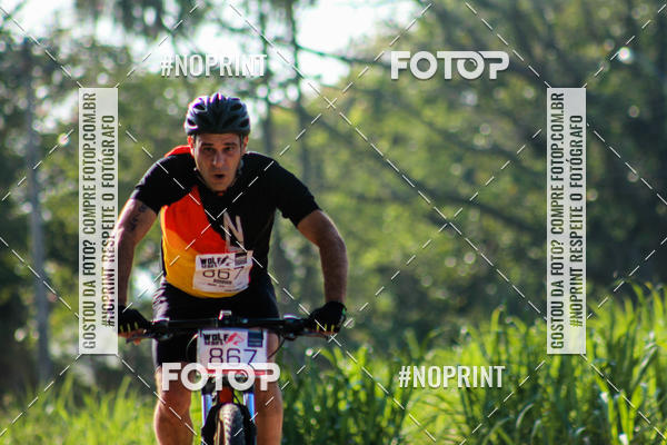 Buy your photos of the eventWolf Series - Botucatu on Fotop