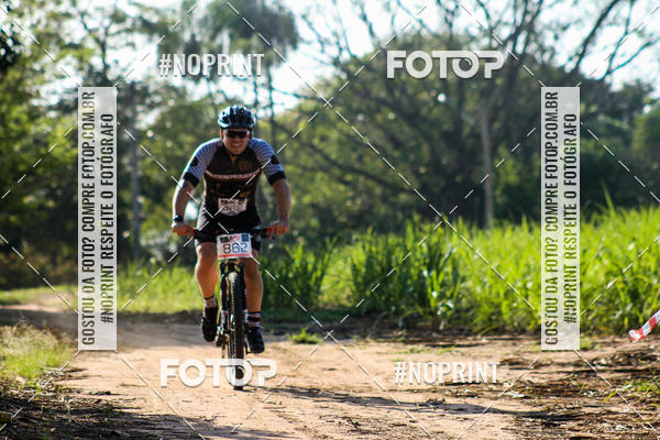 Buy your photos of the eventWolf Series - Botucatu on Fotop