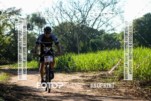 Buy your photos of the eventWolf Series - Botucatu on Fotop