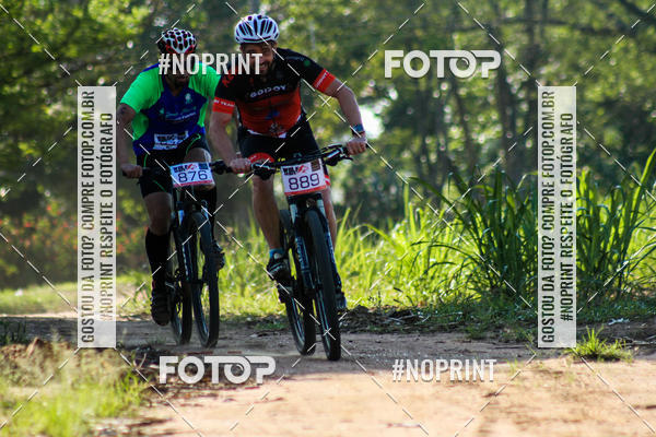 Buy your photos of the eventWolf Series - Botucatu on Fotop