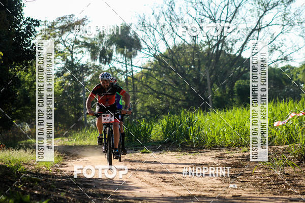 Buy your photos of the eventWolf Series - Botucatu on Fotop