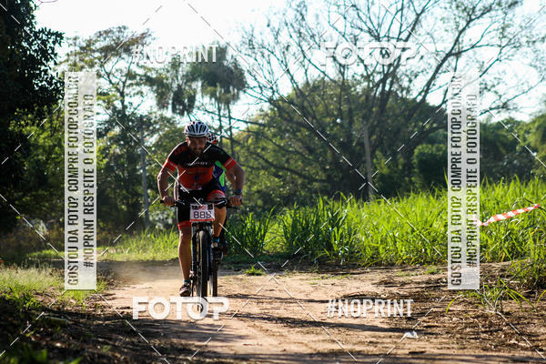 Buy your photos of the eventWolf Series - Botucatu on Fotop