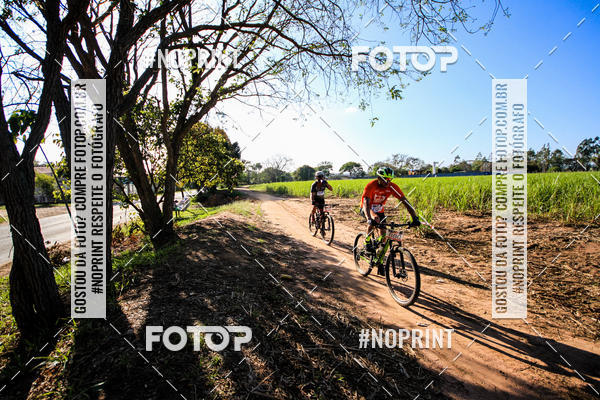 Buy your photos of the eventWolf Series - Botucatu on Fotop